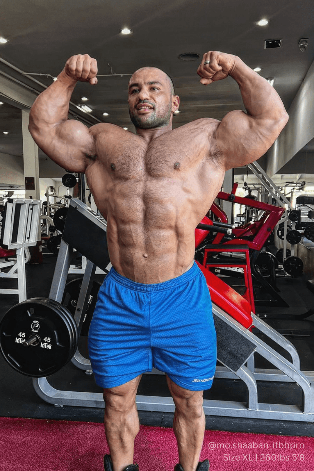 Jersey Mesh 7.5" Gym Shorts - Blue